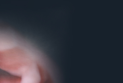 Description of Image 1